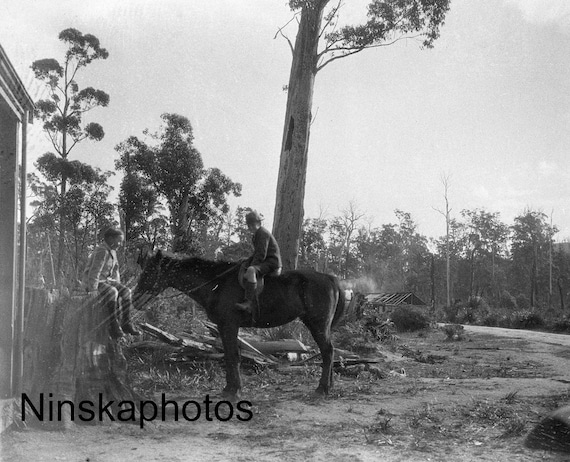 Tasmania - Boys riding Horse at a Local Post Office - Australia - 1925 - Fine Art Photo Print - Vintage Photo - Black & White
