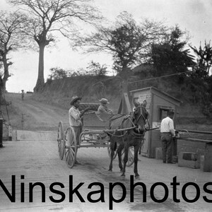 1920s Tampico Mexico, Ein Wagen auf dem Weg zu den Ölfeldern, Mexiko, 1920er Jahre antiker Fotoabdruck, Lokale Geschichte, Vintage Foto, Pferd und Wagen