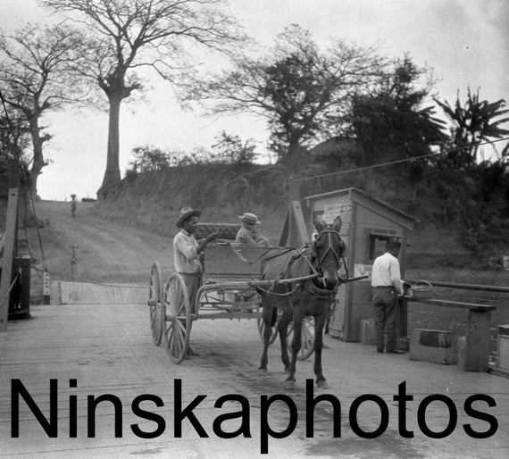 1920s Tampico Mexico, A Cart on the way to the Oil Fields, Mexico, 1920s antique photo reprint, Local History, Vintage Photo, Horse and Cart
