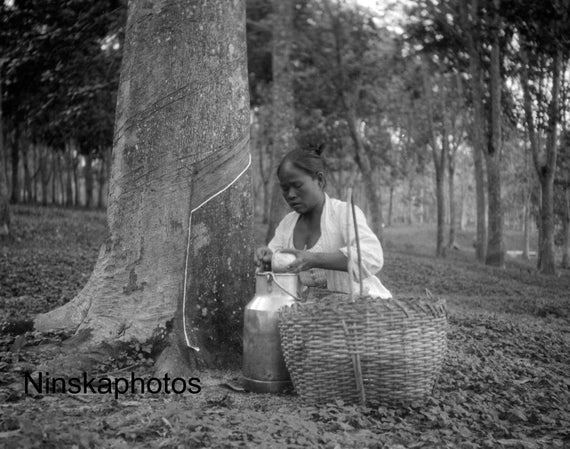 Woman emptying Tin of Latex at Rubber Plantation, Sumatra, Indonesia - Vintage Photo Reproduction by James Dearden Holmes - Historical Photo