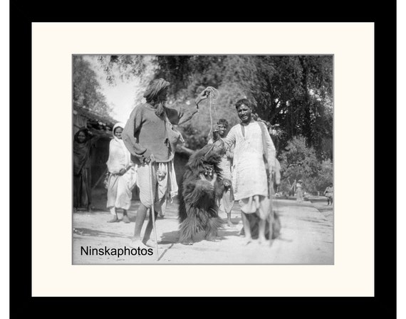 Performing Bear, Street Scene in Benares, Varanasi, India Vintage Photo Reproduction by James Dearden Holmes - Historical Photography