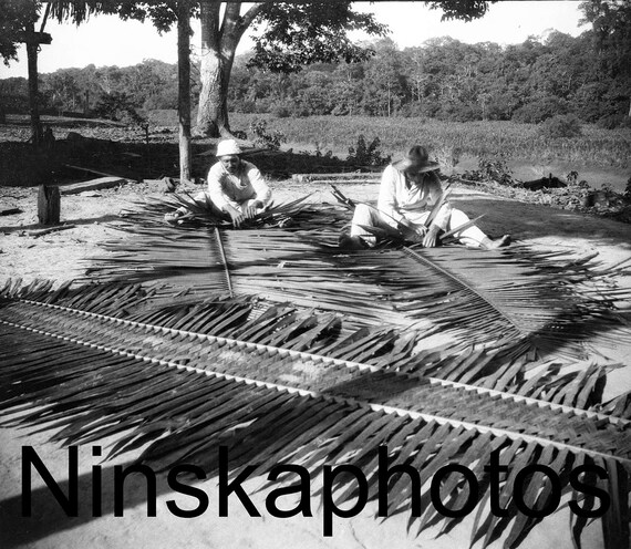 Plaiting Palm Leaves in Uruapiara, Amazonas, Brazil by J. Dearden Holmes, 1920s antique photo reprint, Amazon Photo