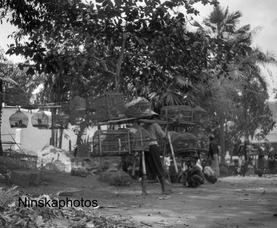 Bird Market in Yogyakarta - Java, Indonesia - 1925 - Fine Art Antique Photo Print - BNW - Vintage Photo - 3140