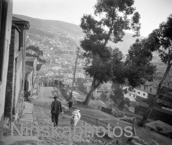 Man with Sheep - Street Scene & View of City, Valparaiso, Chile by J. Dearden Holmes, 1920s antique photo reprint - Available Framed