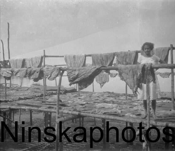 Amazon riverside village scene, Girl with Dried Fish, Para, North Brazil by J. Dearden Holmes, 1920s antique photo reprint