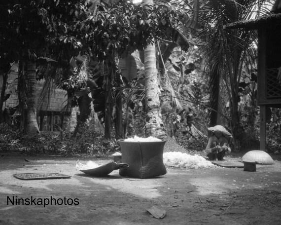 Preparing Kapok in Mengkatip, Kalimantan, Borneo, Indonesia - 1925 - Fine Art Antique Photo Print - Vintage Photo - 2980