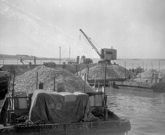 Lighters full of bones, Swift's Meat Packing House and Yards, Montevideo, Uruguay 1927 - Fine Art Antique Photo Print - Vintage Photo