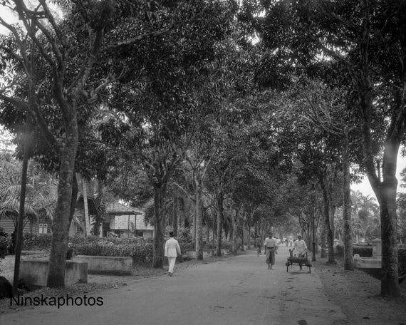Medan, Sumatra - Mangga Laan Avenue near Polonia - Street Scene - Indonesia - 1925 - Fine Art Antique Photo Print - Vintage Photo - 3660