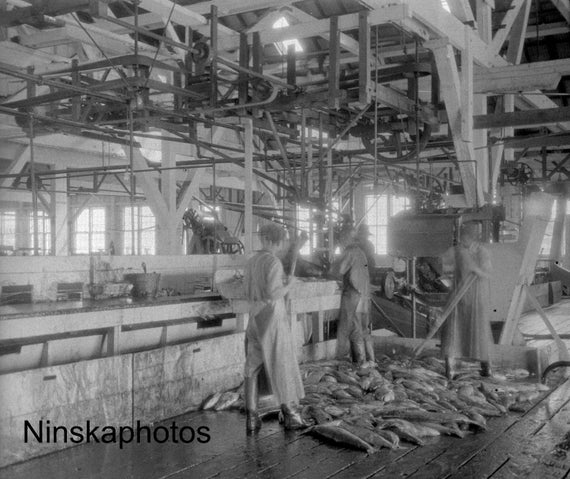 Steveston Salmon Canning Factory, Cannery, British Columbia, BC, Canada 1926 - Fine Art Antique Photo Print - Vintage Photo - 6311