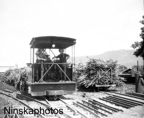 Railing Sugar Cane at Mulgrave Sugar Mill, Gordonvale, Cairns, Australia by J. Dearden Holmes, 1920s antique photo reprint, Photography