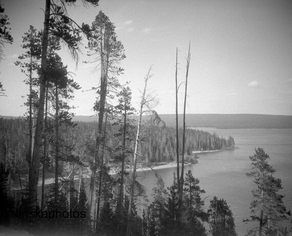 Yellowstone Lake at Yellowstone National Park, Wyoming - United States 1926 - Fine Art Antique Photo Print - Vintage Photo - 6117