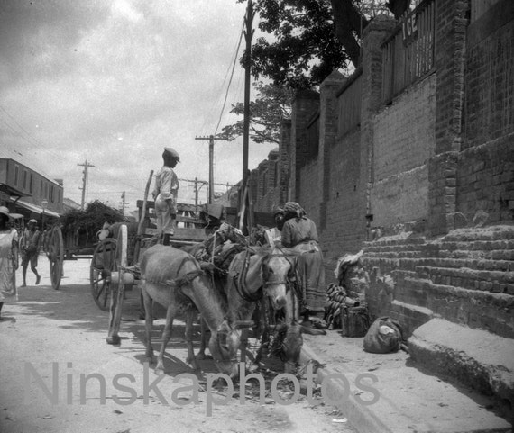 Kingston Street Scene 1927, Jamaica, 1920s antique photo reprint, Horse & Cart, Local History, Monochrome Wall Decor