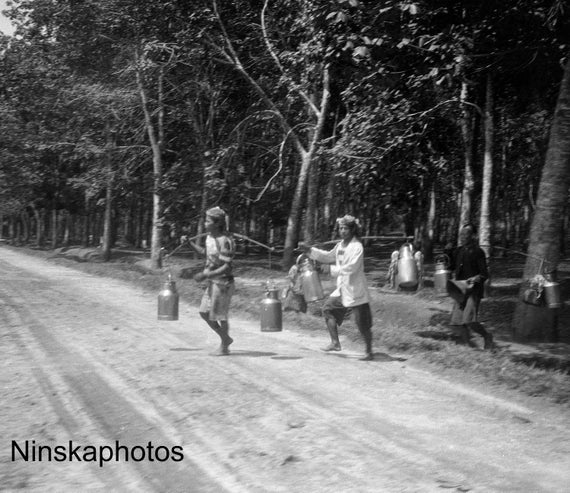Rubber Plantation in Sumatra - Transporting Milk to Factory, Indonesia - 1925 - Fine Art Antique Photo Print - Vintage Photo - 3623