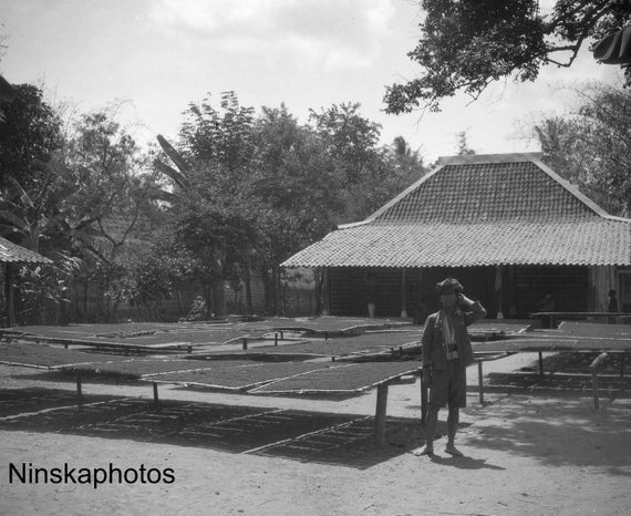 Tobacco Plantation - Drying Tobacco near Yogyakarta - Java, Indonesia - 1925 - Fine Art Antique Photo Print - BNW - Vintage Photo - 3223