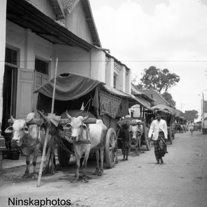 Bullock Cart near Yogyakarta - Java, Indonesia - 1925 - Fine Art Antique Photo Print - BNW - Vintage Photo - 3193