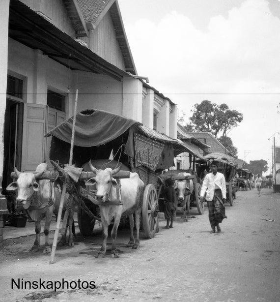 Bullock Cart near Yogyakarta - Java, Indonesia - 1925 - Fine Art Antique Photo Print - BNW - Vintage Photo - 3193