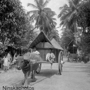 インドネシア、スマトラ島の田舎の牛車 - 1925年 - 美術アンティーク写真プリント - ヴィンテージ写真