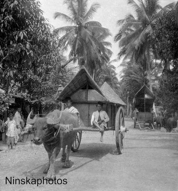 Bullock Cart in Rural Sumatra, Indonesia - 1925 - Fine Art Antique Photo Print - Vintage Photo