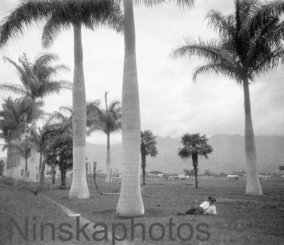 Relaxing amid the Palms in San Jose, Costa Rica by J. Dearden Holmes, 1920s antique photo reprint