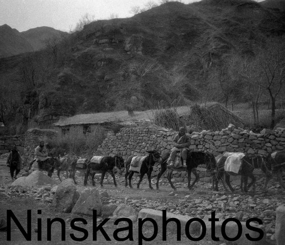 1920s China, Village in the Nankow Pass (Juyong Pass), A String of Donkeys, Changping District, China, 1920s antique photo reprint
