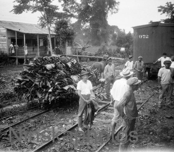 1920s Costa Rica, Agricultural Workers by J. Dearden Holmes, 1920s antique photo reprint, Vintage Photography, Banana, Farmers