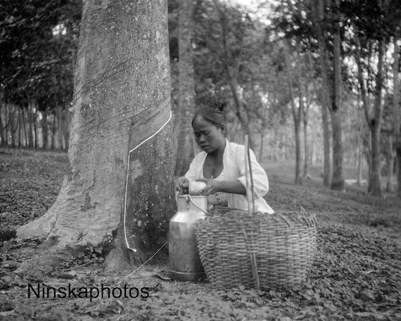 Rubber Plantation in Sumatra - Woman Emptying Latex Can, Indonesia - 1925 - Fine Art Antique Photo Print - Vintage Photo - 3600