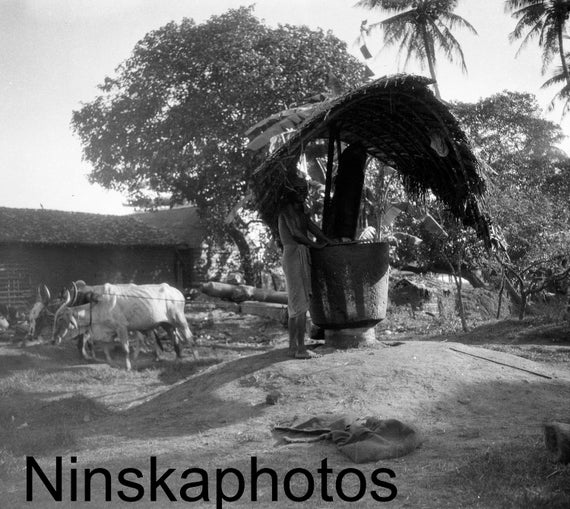 1920s Colombo, Ceylon, Sri Lanka, Native Oil Mill by J. Dearden Holmes, 1920s antique photo reprint, Vintage Photography