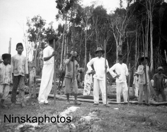 Rice Planters in Betoeng - West Kalimantan - Borneo - Indonesia - 1925 - Fine Art Antique Photo Print - BNW - Vintage Photo - 2925