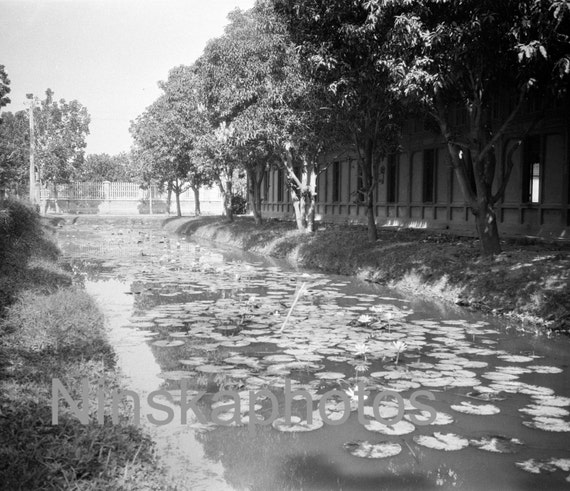 Lotus Pond outside the Royal Garage, Bangkok, Thailand by J. Dearden Holmes, 1920s antique photo reprint