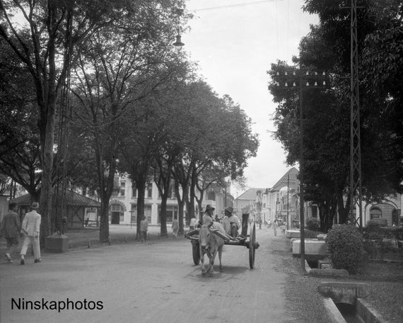 Medan, Sumatra - Looking towards Kesawan (Main Street) Horse & Cart - Indonesia - 1925 - Fine Art Antique Photo Print - Vintage Photo - 3658