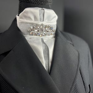 Star Dust Dressage Stock Tie Euro Pleat