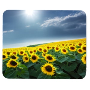 May include: A field of bright yellow sunflowers in full bloom under a blue sky with white clouds. The sun is shining brightly in the background.