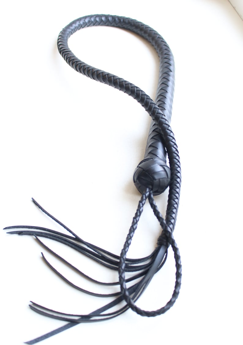May include: A black leather bullwhip with a braided handle and a long tassel.