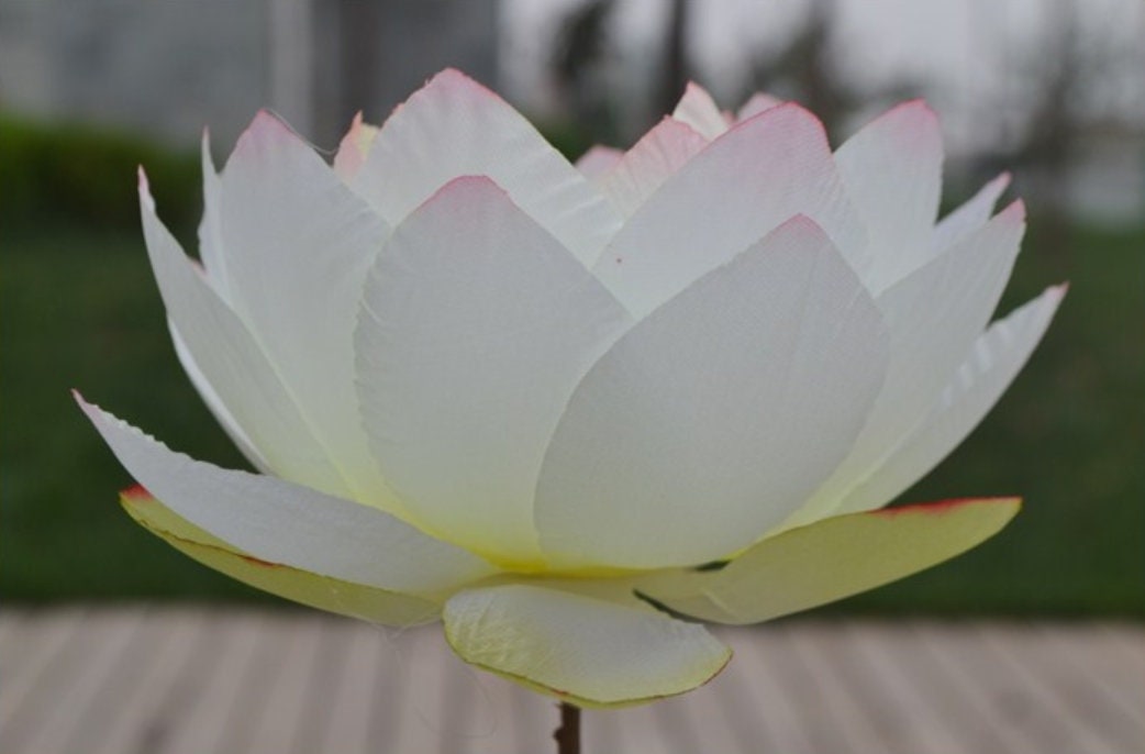 Artificial Silk 1 Lotus Flower For Wedding Crown Door Spring Etsy