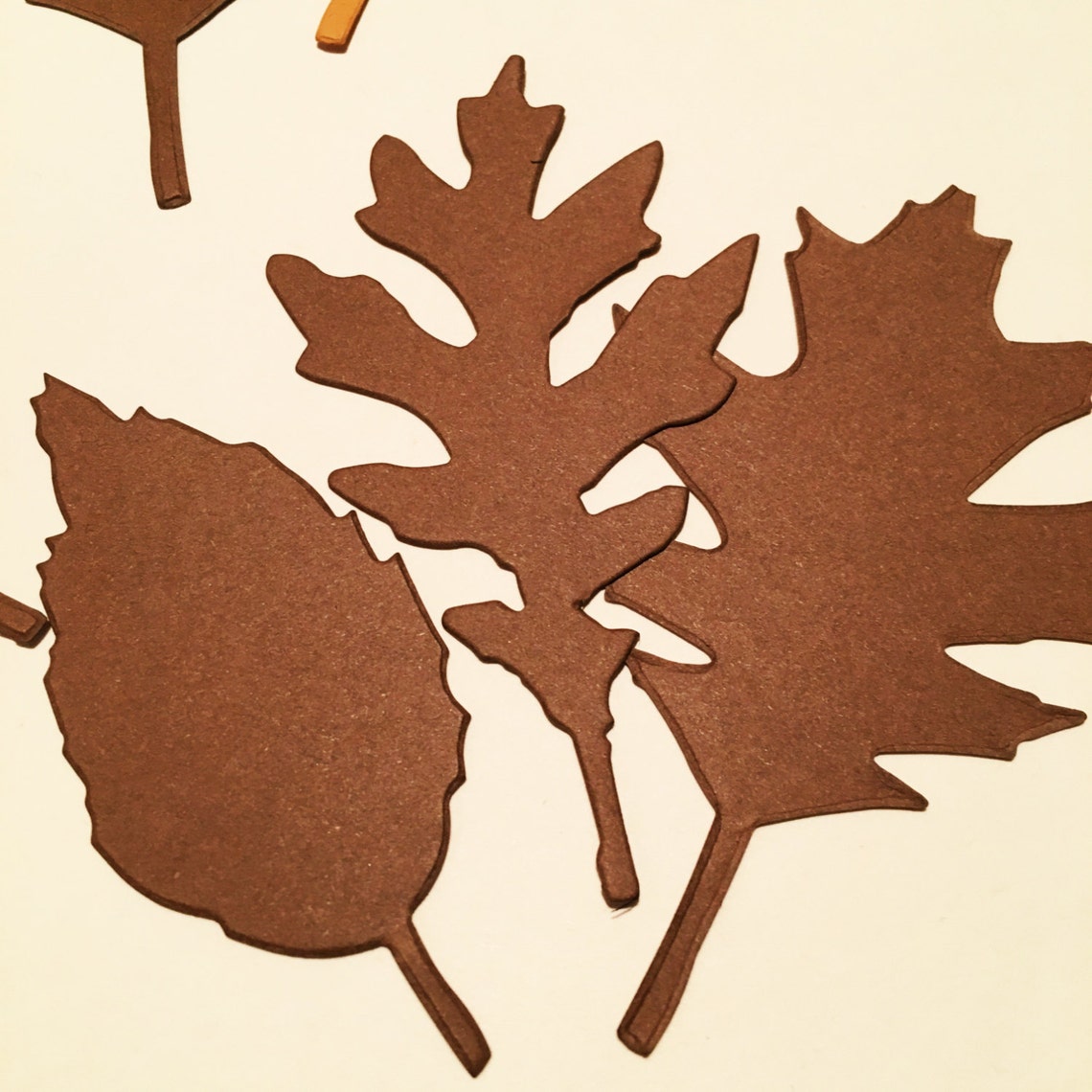 Paper Leaves Paper Craft Card Making Die Cut From High Etsy UK