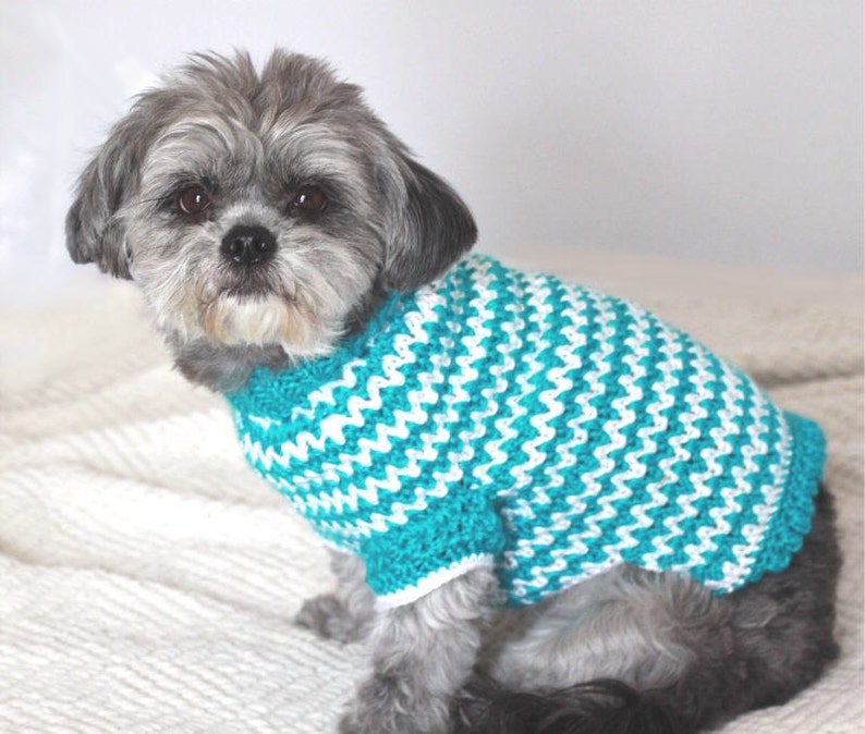 Small Dog Sweater Crochet Dog Sweater Chevron Dog Sweater | Etsy