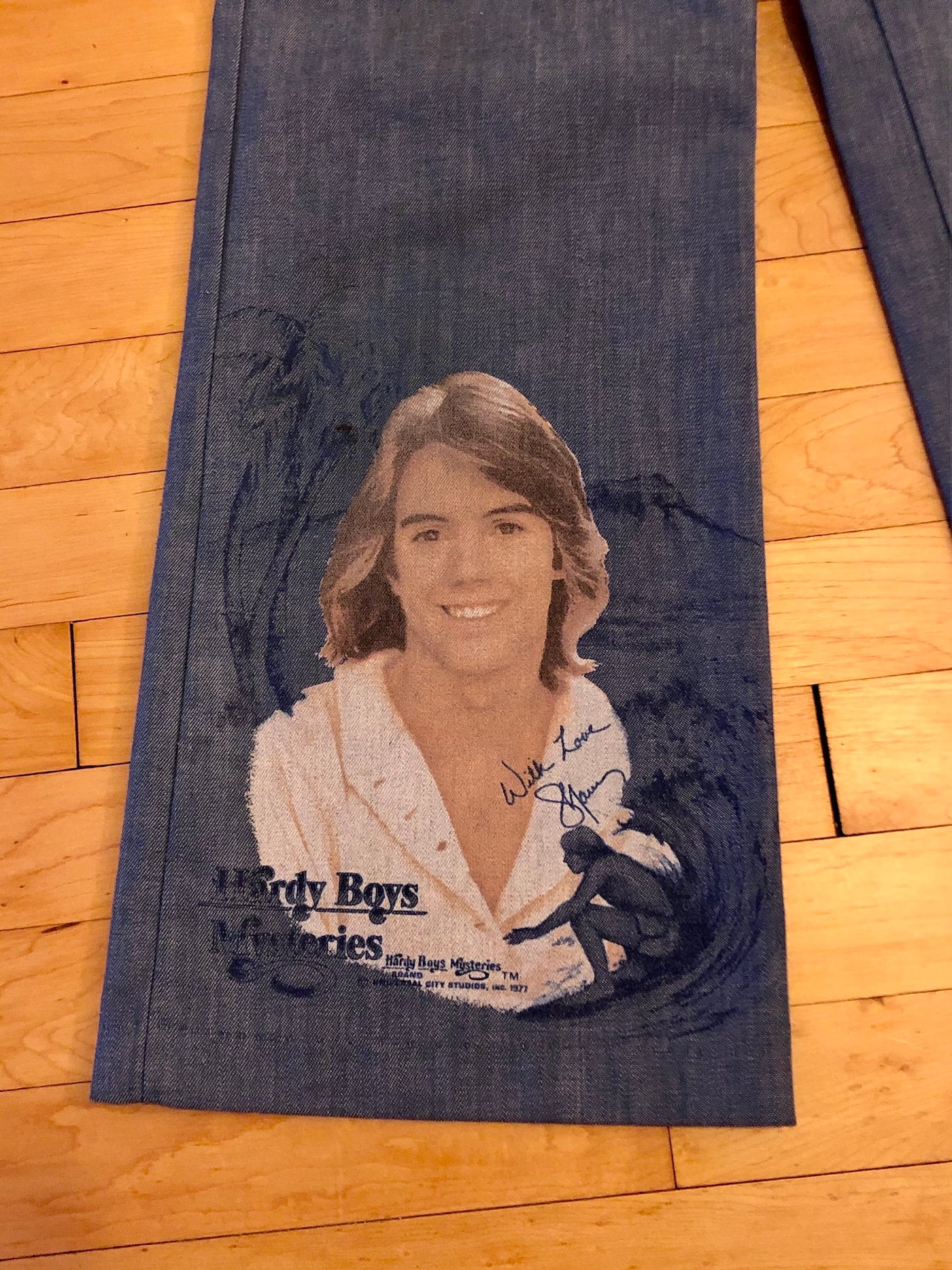 Shaun Cassidy Hardy Boys Pants Girls 