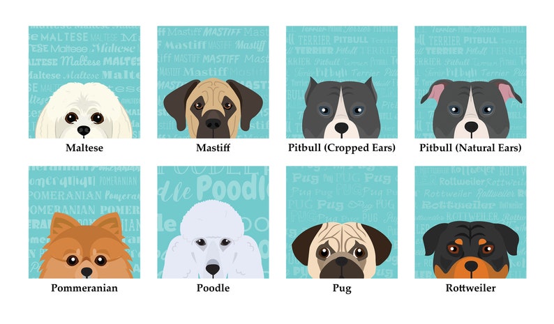 May include: A colourful illustration of 8 different dog breeds, each with a unique facial expression. The breeds are Maltese, Mastiff, Pitbull (Cropped Ears), Pitbull (Natural Ears), Pomeranian, Poodle, Pug, and Rottweiler. Each dog is set against a background of its breed name repeated in a light blue colour.