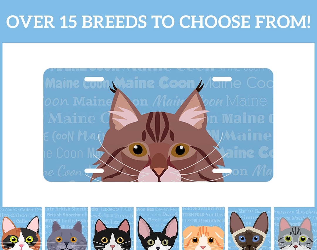 Adorable Cat Breed Design License Plate Large OR Mini Etsy