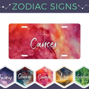 Gorgeous Zodiac Horoscope Sign License Plate Large OR Mini