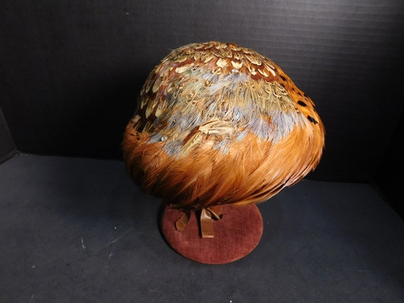 1940's Pheasant Feather Hat - image 2