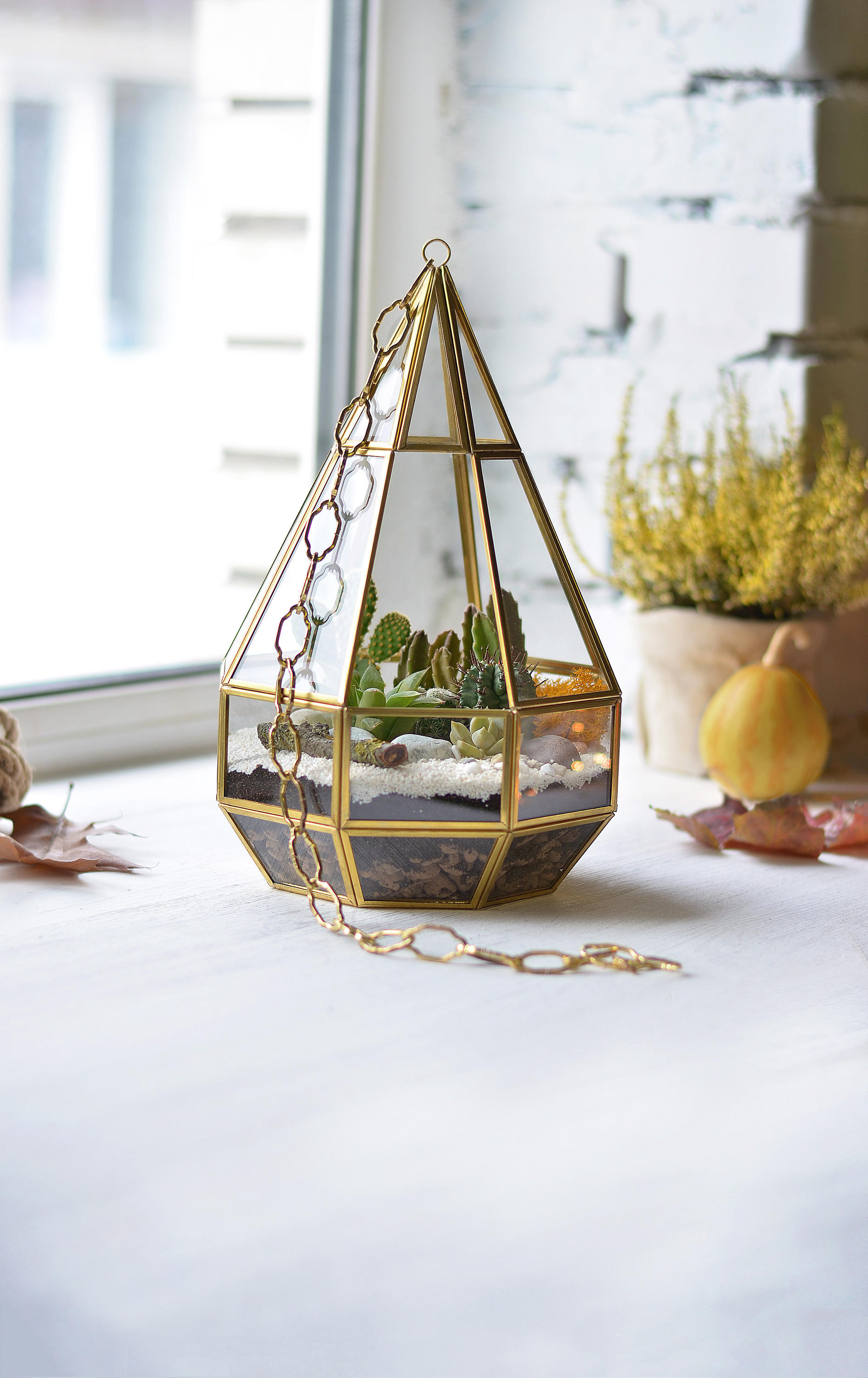 Gold terrarium Hanging planter Modern terrarium Air plant Etsy
