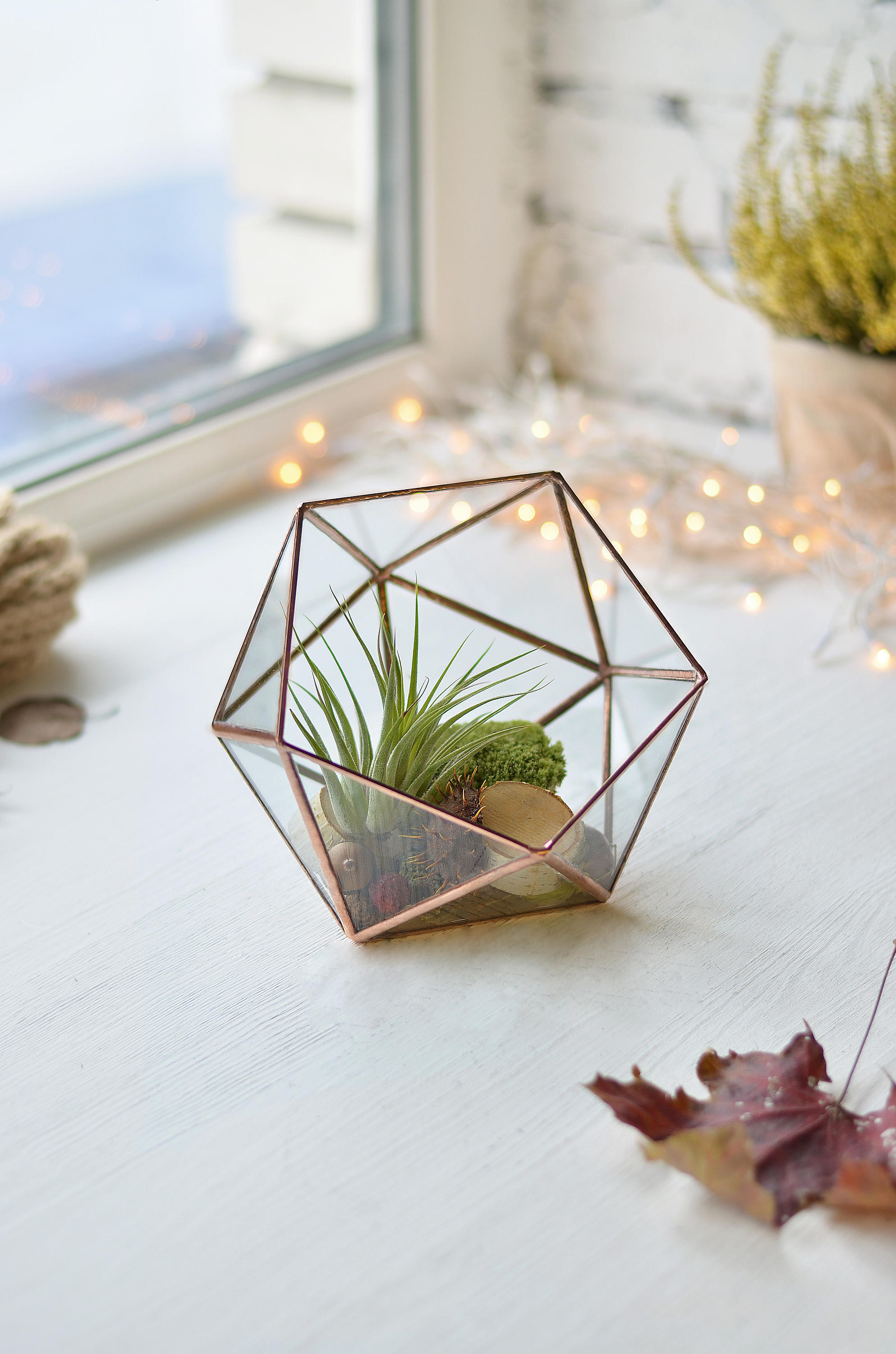 Geometric terrarium container Copper terrarium Plants glass Etsy