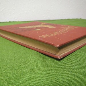 May include: A red hardcover book with the title "My Wonderful World" printed in gold lettering on the cover. The book is closed and lying on a green surface.