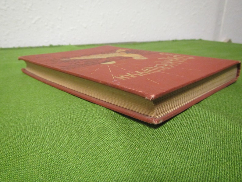 May include: A red hardcover book with the title "My Wonderful World" printed in gold lettering on the cover. The book is closed and lying on a green surface.
