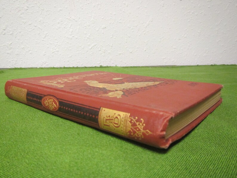May include: A red hardcover book with gold lettering on the spine and front cover. The book is titled "The Adventures of", and the front cover features an illustration of a woman in a flowing dress.