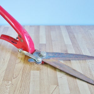 May include: A red handled pair of rusty shears with a metal spring and a wooden handle. The shears are lying on a wooden surface.