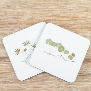 May include: Two white square coasters with pressed dried plants. One coaster features a cluster of small green leaves, the other has a single branch with several green leaves.