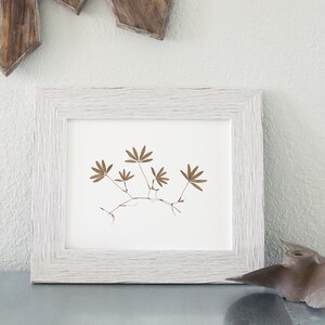 8x10 &quot;Hidden&quot; Coastal Botanical Art Print - pressed marine algae art, coastal beach house decor