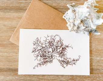 Botanical Blank Greeting Card - "Riptide" - coastal beach gift, housewarming, thank you